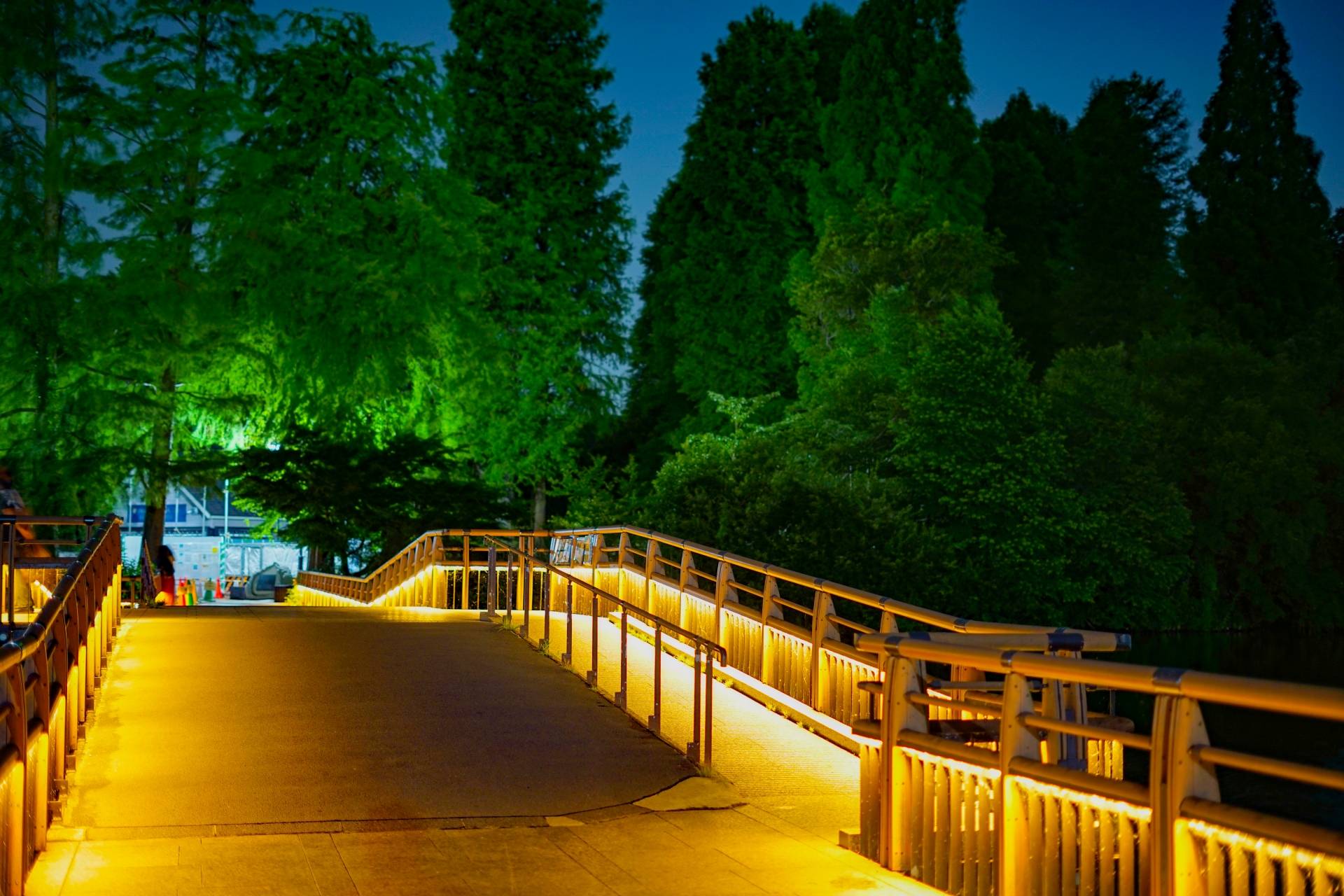 井の頭公園