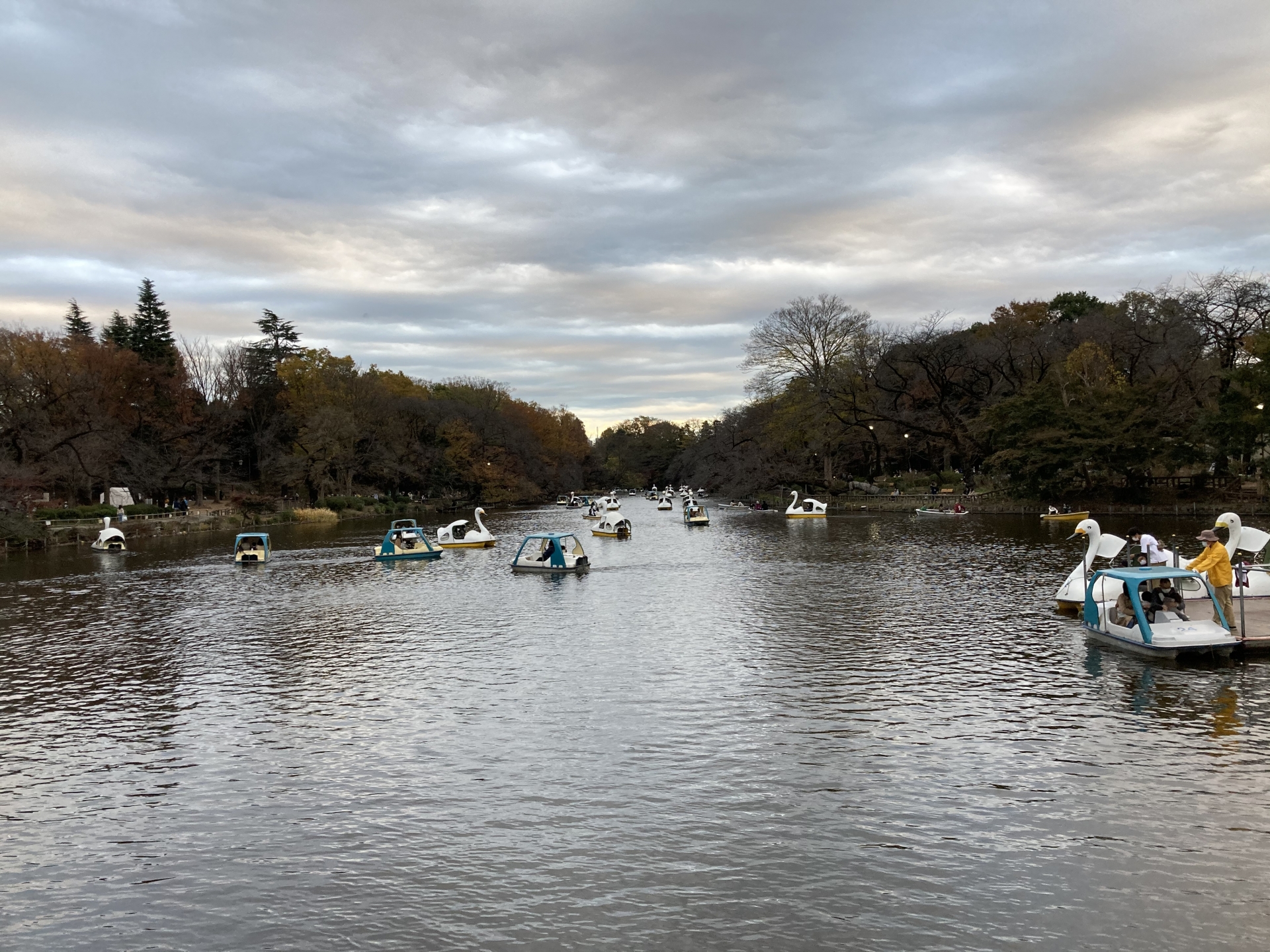 井の頭公園