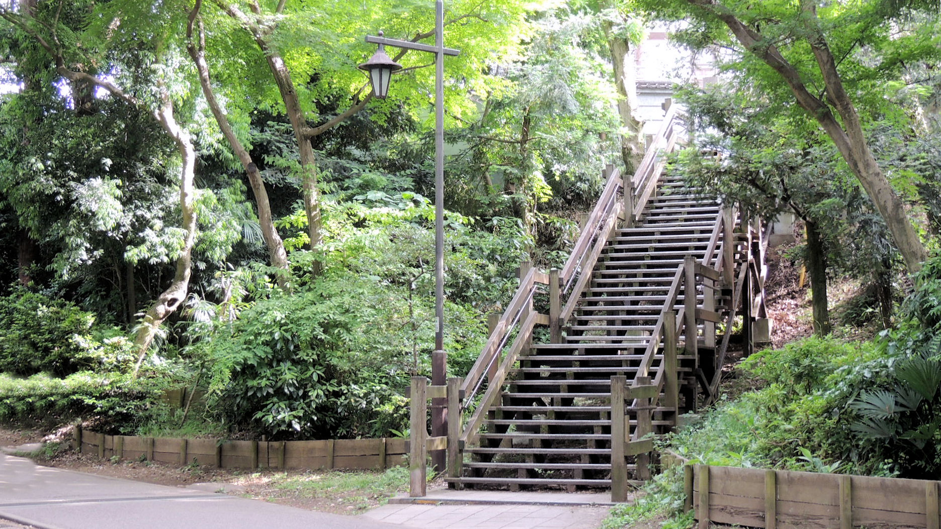 井の頭公園