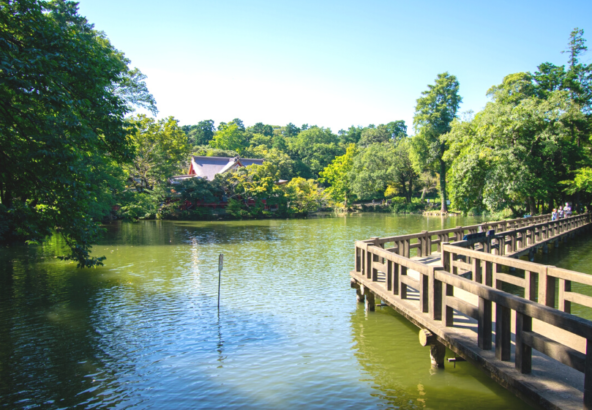 井の頭公園