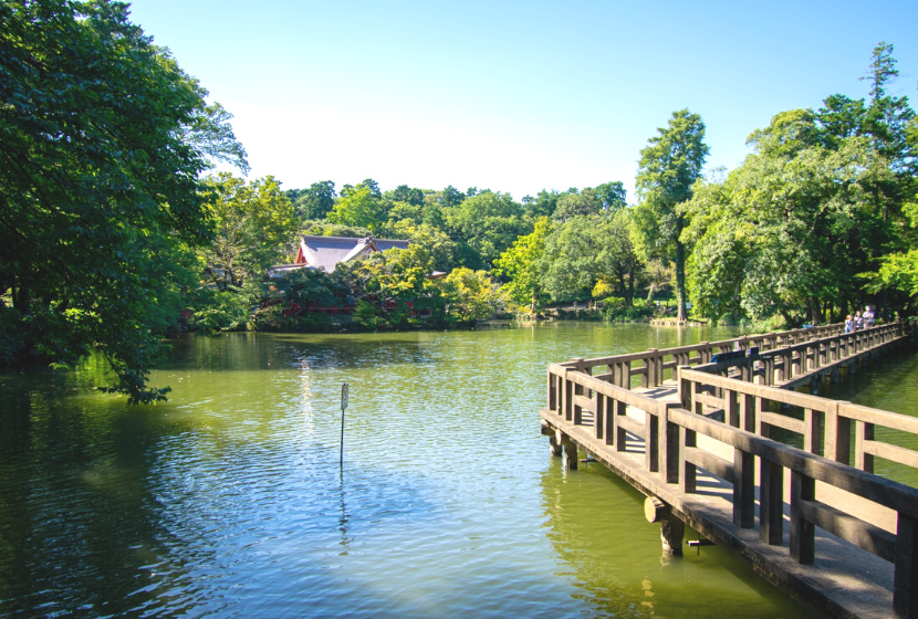 井の頭公園